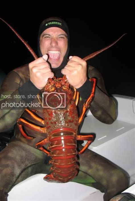 loobster porn|Lobster Tube Porn Videos .